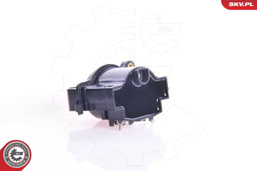 Ignition Coil